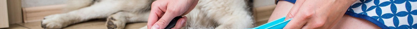 Limpieza del hogar con animales