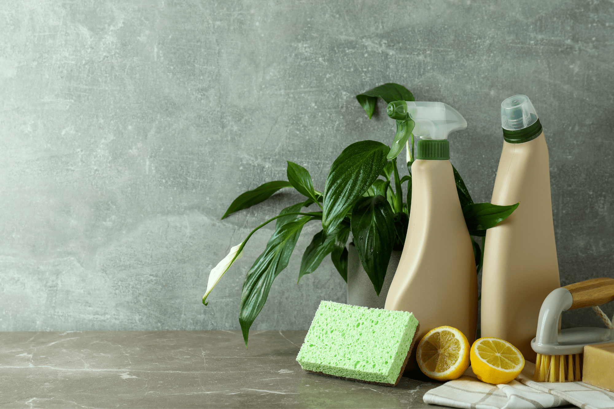 Productos de limpieza ecológicos