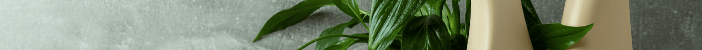 Productos de limpieza ecológicos